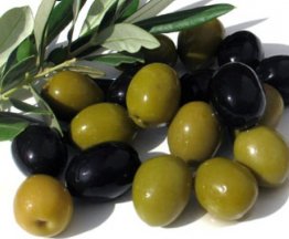 Envases para aceitunas,encurtidos,miel,etc